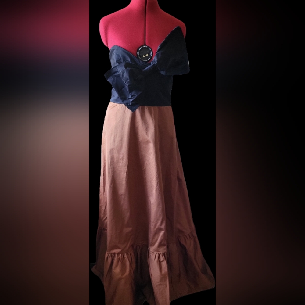 Anthropologie/Hutch Strapless Dress with Black and Chestnut Contrast